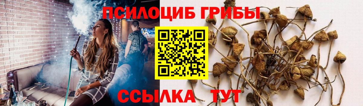 Галлюциногенные грибы GOLDEN TEACHER Сызрань