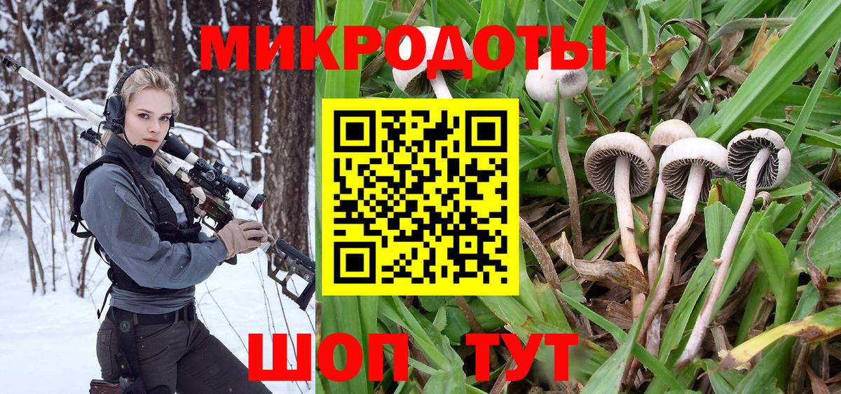 Псилоцибиновые грибы Magic Shrooms  Вход с VPN  Сызрань 